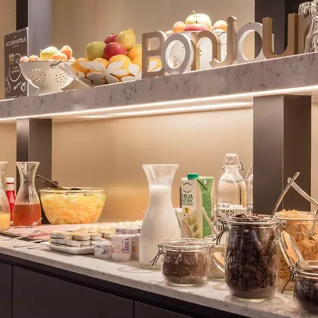 Ibis Styles Capitole 3* 툴루즈